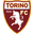 Torino logo