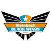 Black Wings Linz logo