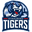 Straubing logo