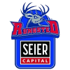 Рингстед logo