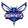 Шарлотт Хорнетс logo