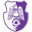 FC Arges logo