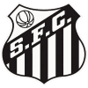 Santos logo