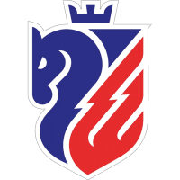 Botosani logo