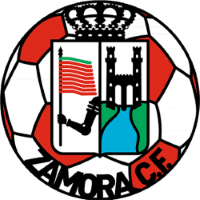 Zamora logo