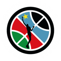 South Sudan logo