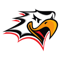 Vaasan Sport logo