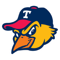 Toledo Mud Hens logo