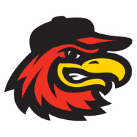 Rochester Red Wings logo