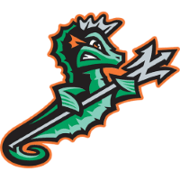 Norfolk Tides logo