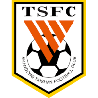 Shandong Taishan logo