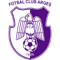 FC Arges logo