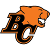 БС Лайонс logo