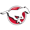 Калгари logo
