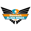 Black Wings Linz logo