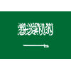 Saudi Arabia logo
