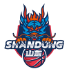 Shandong logo
