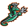 Norfolk Tides logo