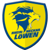 Rhein-Neckar logo