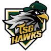 TSG Hawks logo