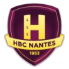 Nantes logo