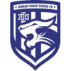 Wuhan Three Towns logo
