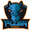 Plzen logo