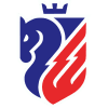 Botosani logo