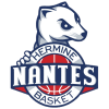 Nantes logo