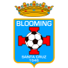 Blooming logo