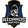 Nidaros logo