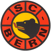 Bern logo