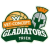 Trier logo
