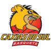 Caxias do Sul logo