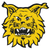 Ilves logo