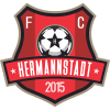 FC Hermannstadt logo