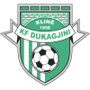 Dukagjini (Kos) logo