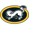 Karpat logo