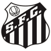 Santos logo