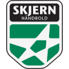 Skjern logo