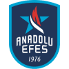 Anadolu Efes logo