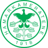 HamKam logo
