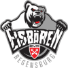 Regensburg logo