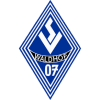Mannheim logo