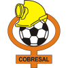 Cobresal logo