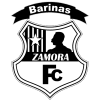 Замора logo