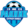 Radnik logo