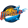 Сычуань logo