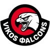 Vikos logo