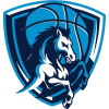 Basket Napoli logo